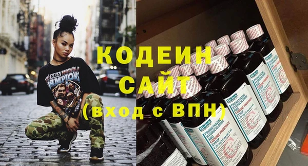 прущие грибы Иннополис