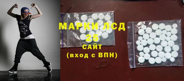 прущие грибы Иннополис