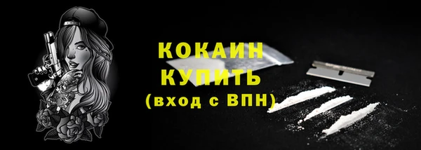 прущие грибы Иннополис