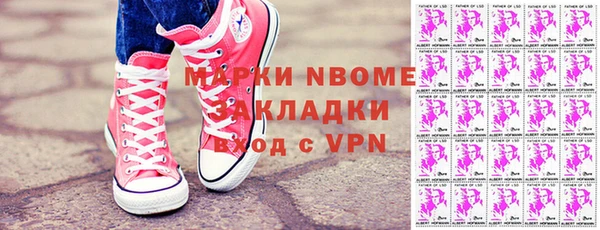 прущие грибы Иннополис