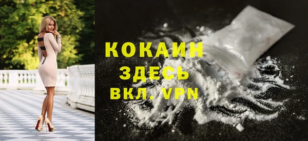 прущие грибы Иннополис