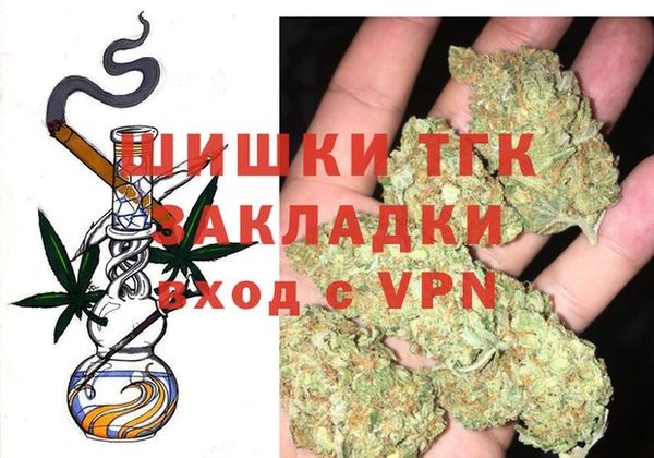 прущие грибы Иннополис