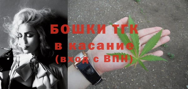 прущие грибы Иннополис
