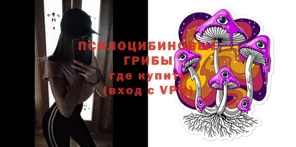 прущие грибы Иннополис